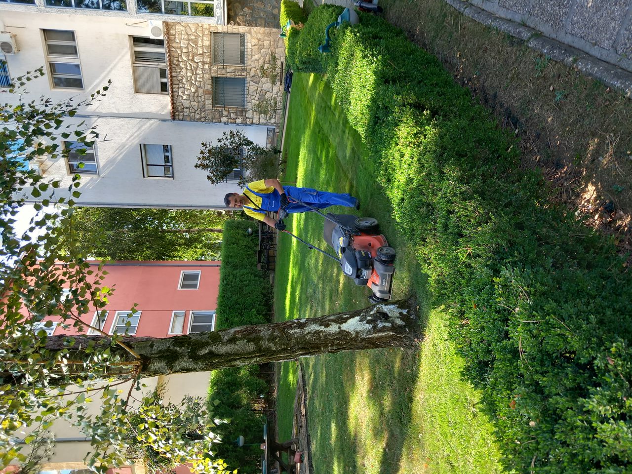 Održavanje zelenih površina 